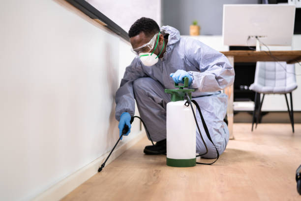 Best Pest Prevention Services  in Bunker Hl, IL